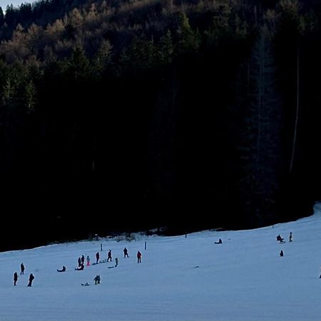 Willa Na Potoku Zakopane Eksteriør bilde