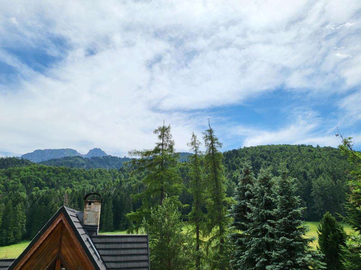 Willa Na Potoku Zakopane Eksteriør bilde
