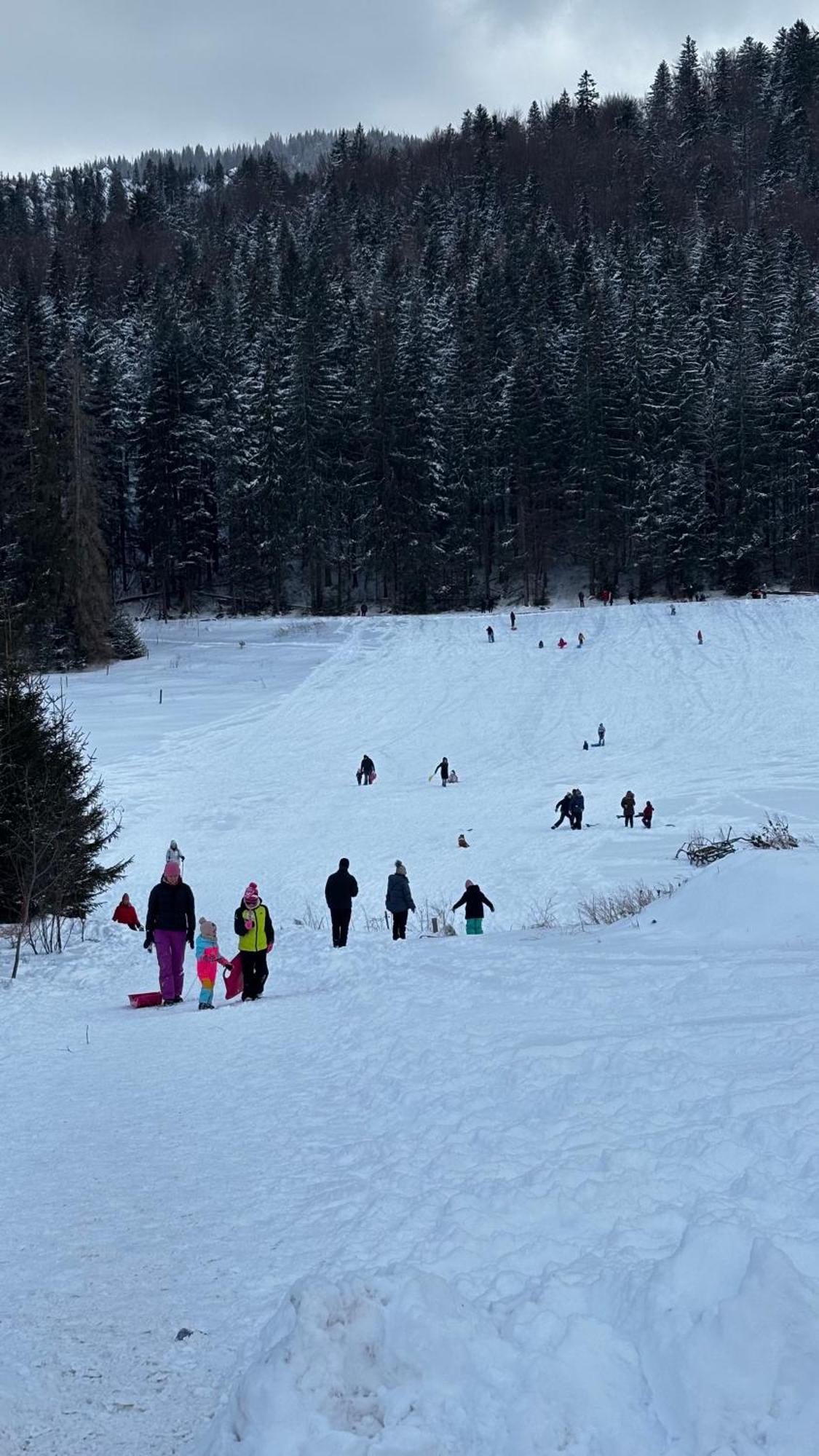 Willa Na Potoku Zakopane Eksteriør bilde
