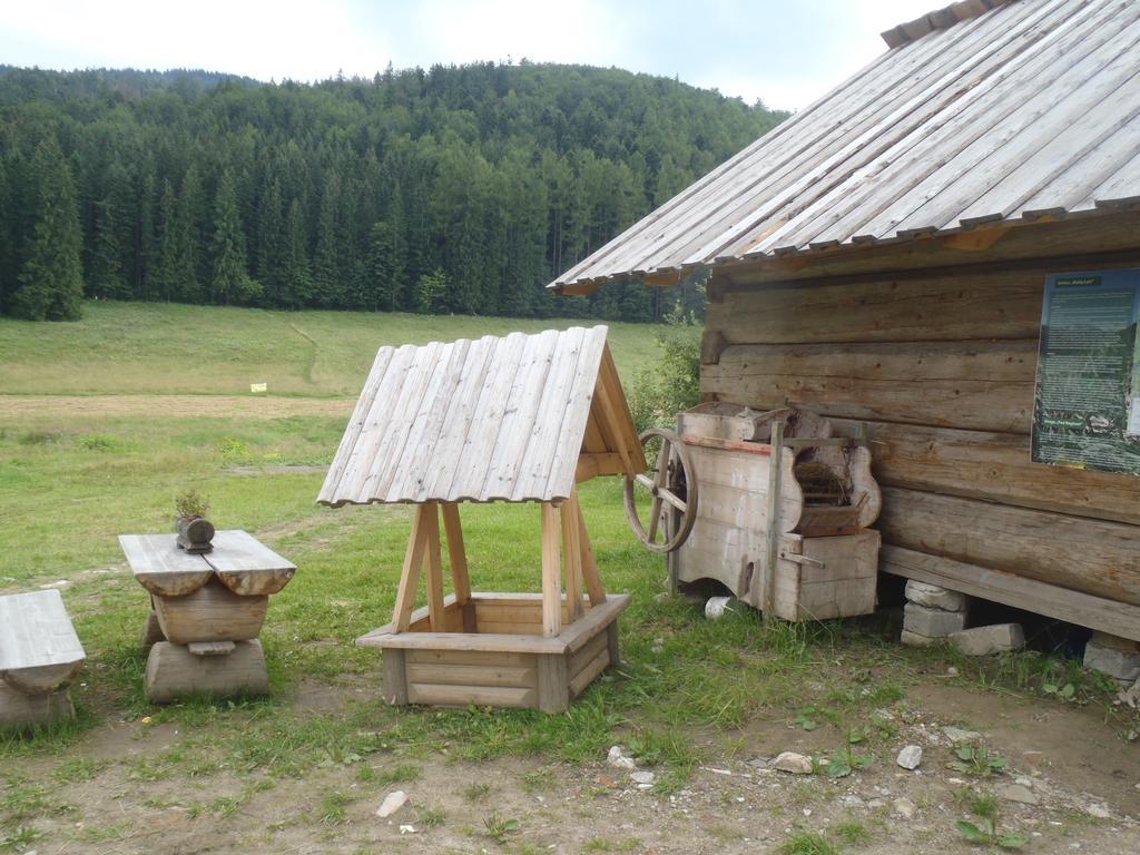 Willa Na Potoku Zakopane Eksteriør bilde
