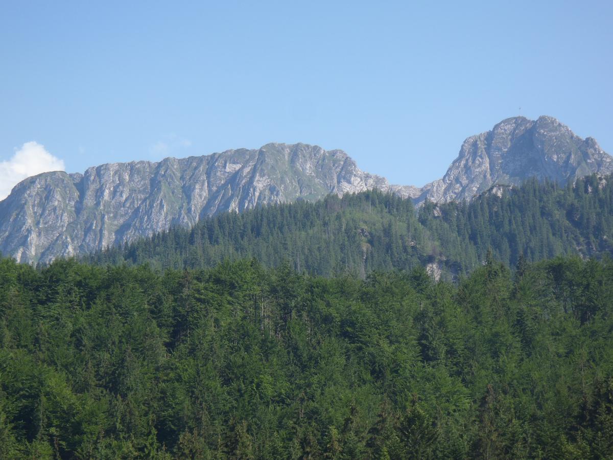 Willa Na Potoku Zakopane Eksteriør bilde